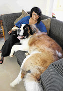 FLUFFY AND IDLE: Rita Abraham with Theodore, who has fallen foul of a Mount Edgecombe housing estate's 20kg limit for pets. Picture: JACKIE CLAUSEN