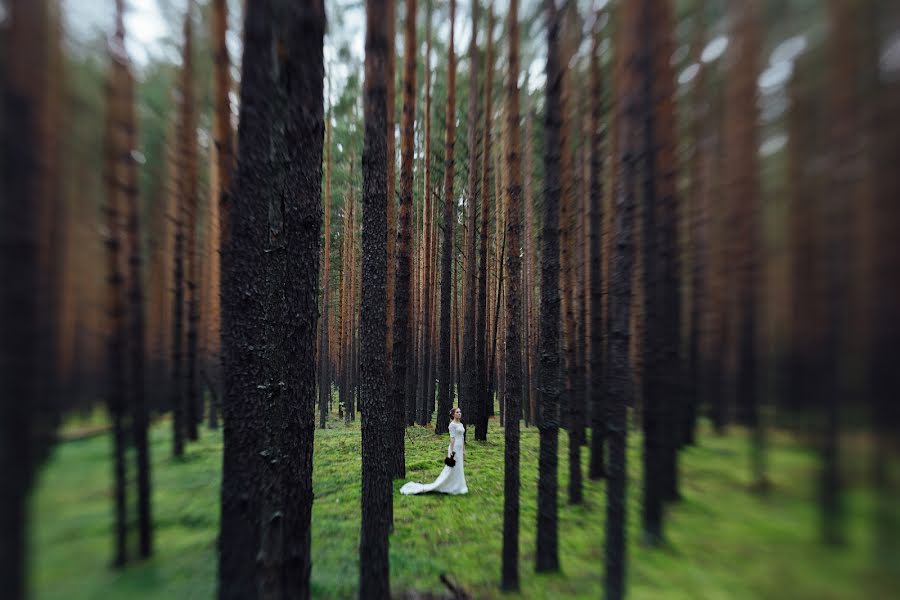 Svadobný fotograf Nikita Rakov (zooyorker). Fotografia publikovaná 7. októbra 2015