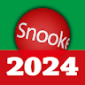 snooker 2024 icon