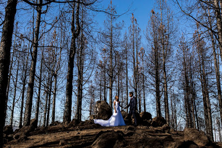 Fotógrafo de bodas Isidro Cabrera (isidrocabrera). Foto del 10 de noviembre 2017