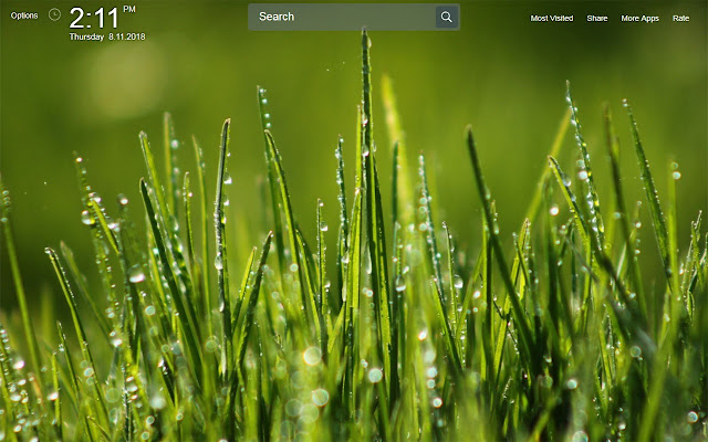 Green Wallpapers Theme New Tab