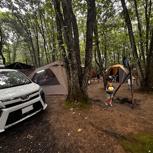 ヴォクシー ZWR80W