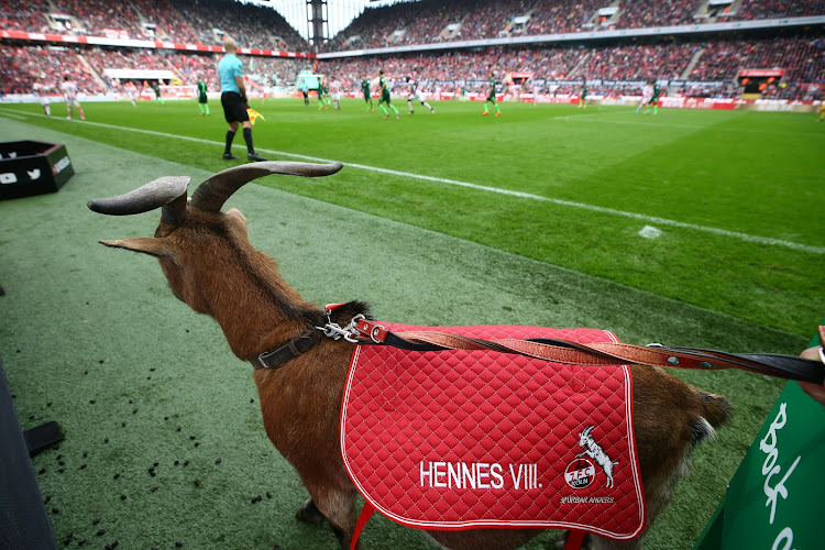 🎥 Une caméra sur la poitrine, la drôle d'innovation technologique présentée par le FC Cologne