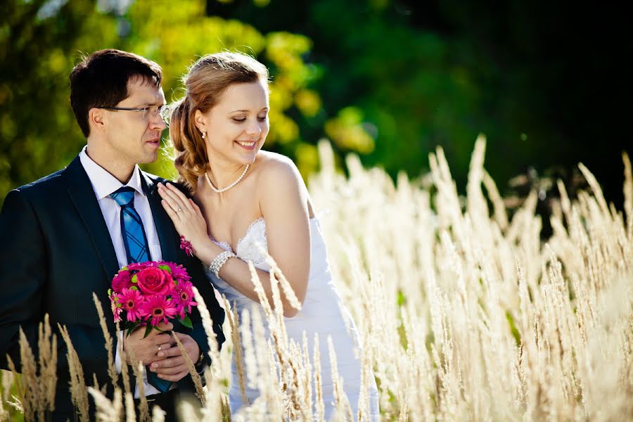 Fotografo di matrimoni Svetlana Aleksandrovna (svetlanatarasova). Foto del 25 febbraio 2013