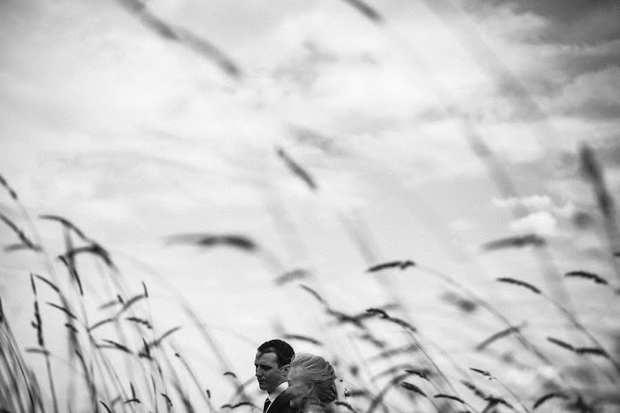 Fotógrafo de casamento Ilya Rybakov (rbkv). Foto de 27 de junho 2019