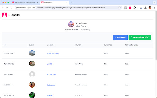 IG Follower Export Tool