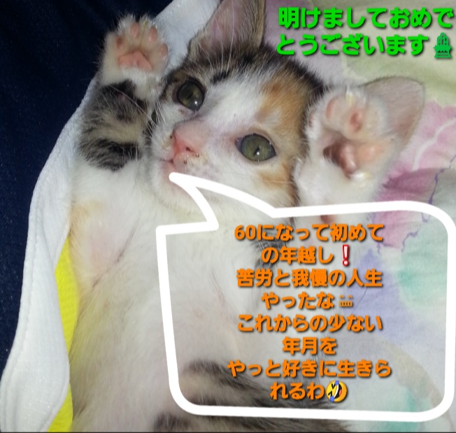 おばべさんさんが投稿した元日から長いな😢・明日は紅白やるのか⁉️・去年は見逃したわ📺・借り物競争シリーズ🚗・緊急🚨自動車だからカロリー０😂に関するカスタム事例の投稿画像1枚目