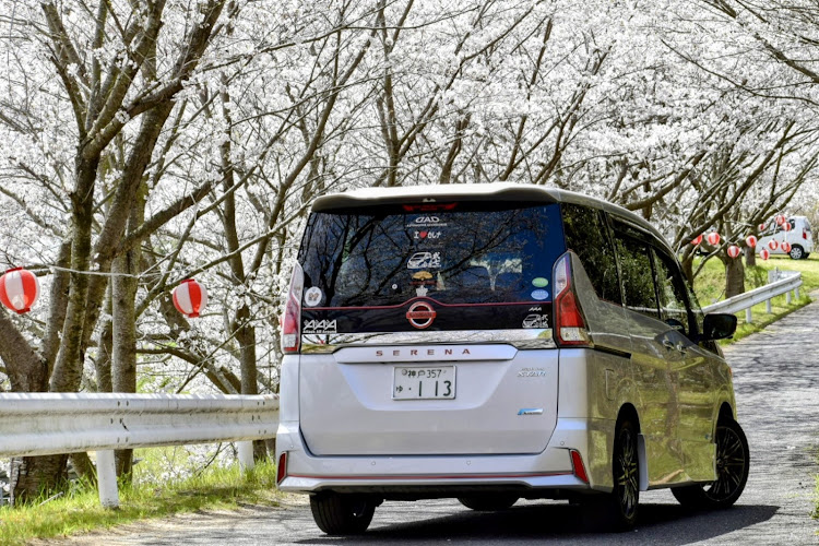セレナのWest SERENA Club・カメ活📸・桜と愛車に関するカスタム事例の投稿画像3枚目
