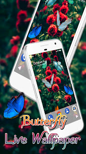 Dancing Butterfly APUS Live Wallpaper(圖1)-速報App
