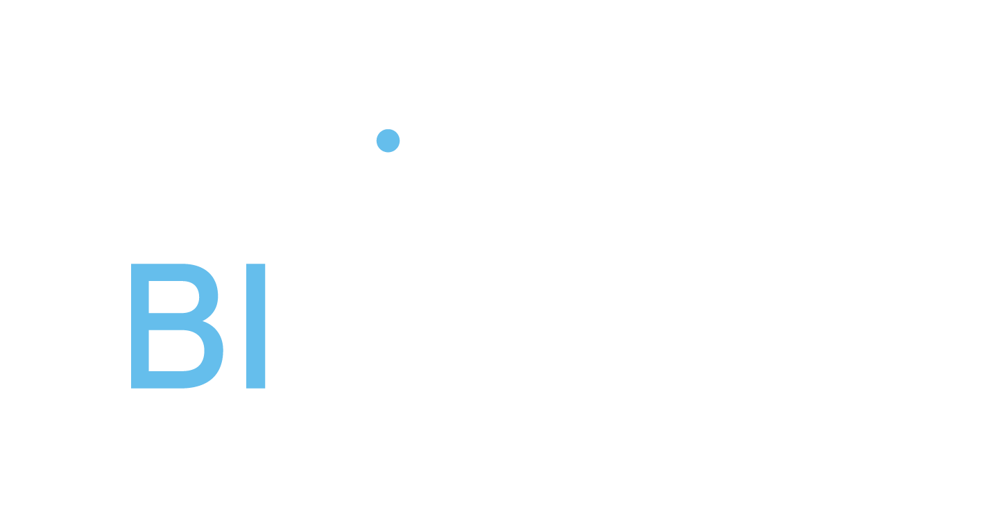 Logo RSM BI Metrics