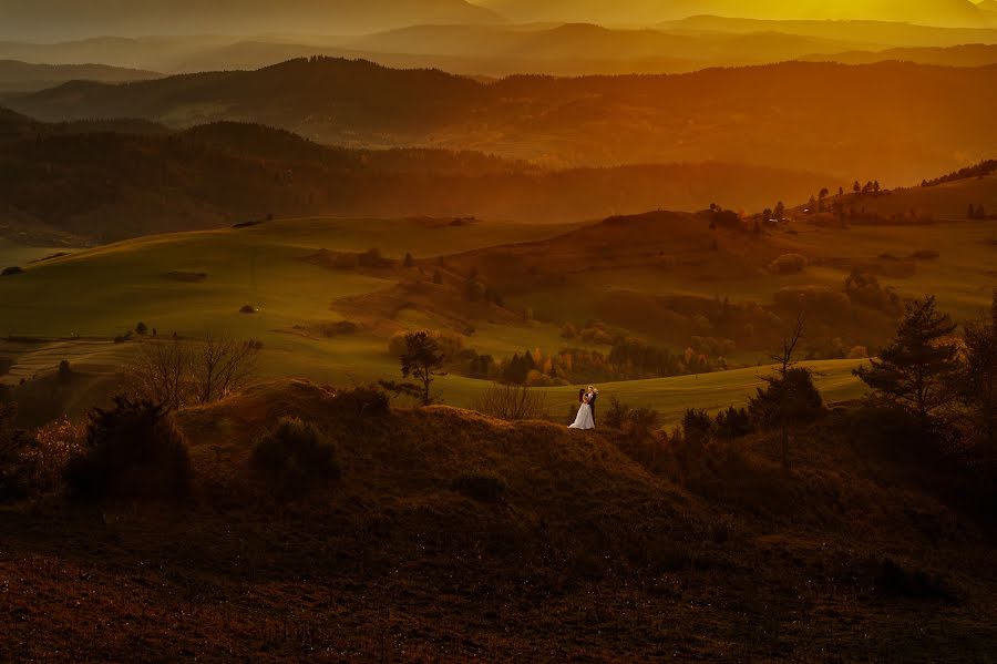 Fotograful de nuntă Maciek Januszewski (maciekjanuszews). Fotografia din 24 februarie 2023