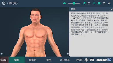 人体 男 インタラクティブな教育用3d Google Play のアプリ