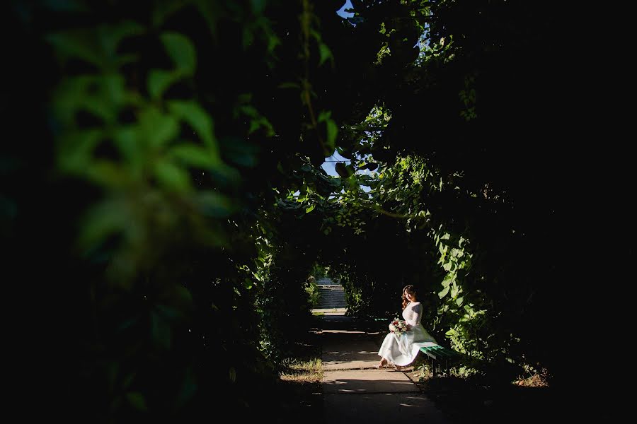 Bryllupsfotograf Nataliya Koshkalda (koshkalda). Bilde av 1 september 2016