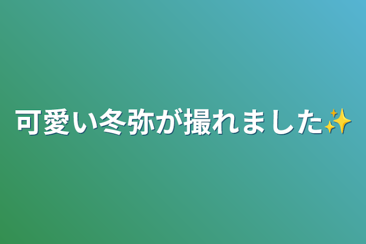 「可愛い冬弥が撮れました✨️」のメインビジュアル