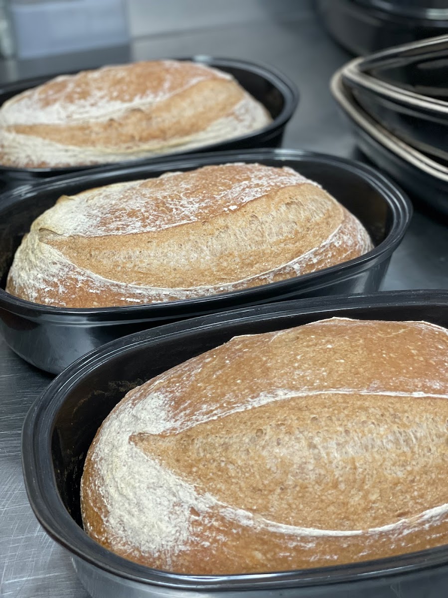 gluten-free sourdough bread