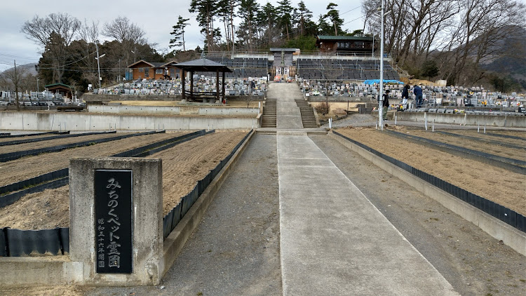 コペンの2021年初走行・春彼岸に関するカスタム事例の投稿画像5枚目