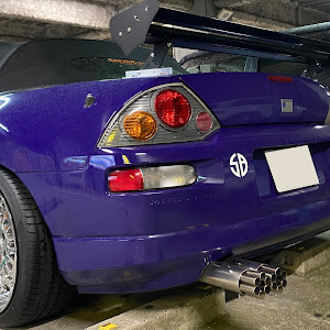 エクリプススパイダー D53A