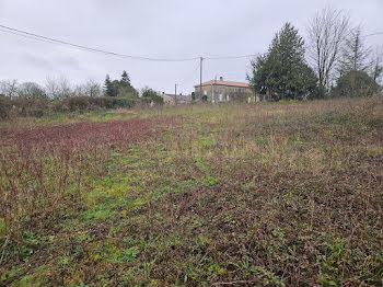 terrain à Saint-Pierre-de-Juillers (17)