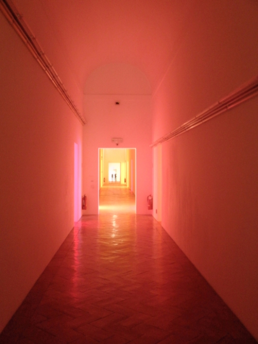 Il corridoio rosa di paolo-spagg