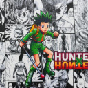 Hunter x Hunter  New Tab