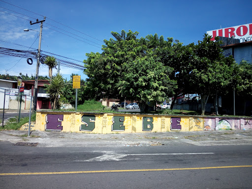 Mural Entrada Guaria 