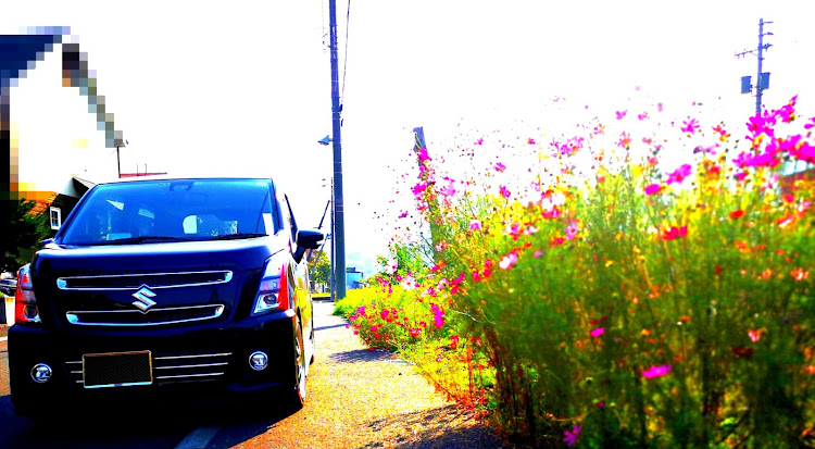 ワゴンRスティングレーのEZ LIP・ちょっと紅葉🍁・洗車・映り映え(*≧∀≦)に関するカスタム事例の投稿画像7枚目