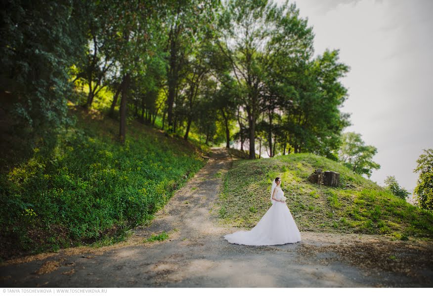 Pulmafotograaf Tatyana Toschevikova (tenmadi). Foto tehtud 22 juuni 2014