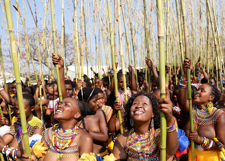 Maidens on their way to present reeds to King Misuzulu kaZwelithini during Umkhosi Womhlanga at Emachobeni Royal Palace.