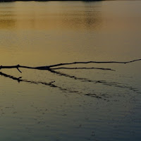 Il lento scorrere del fiume Po di 