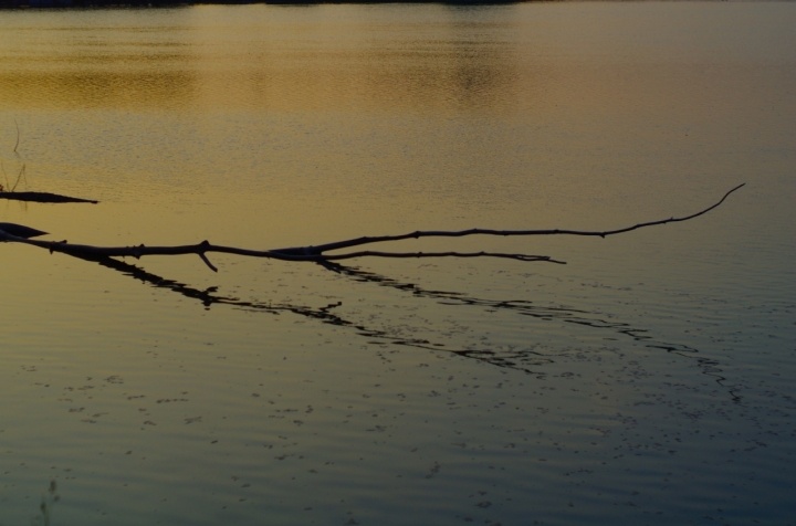 Il lento scorrere del fiume Po di Pietroll