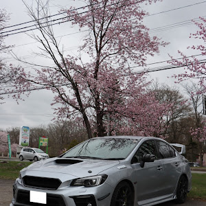 WRX STI VAB