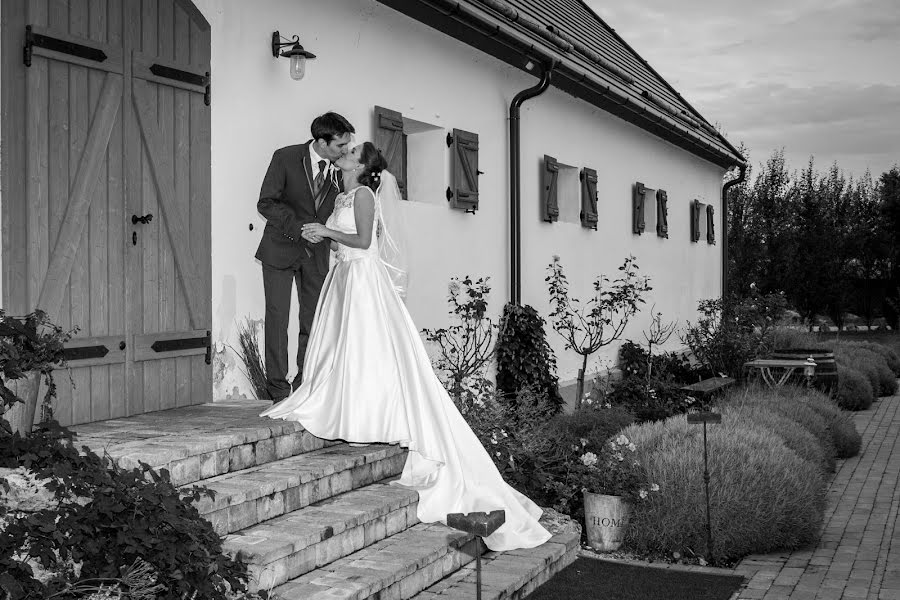 Fotógrafo de casamento Bernadett Lelkes (berkatt). Foto de 29 de março 2019