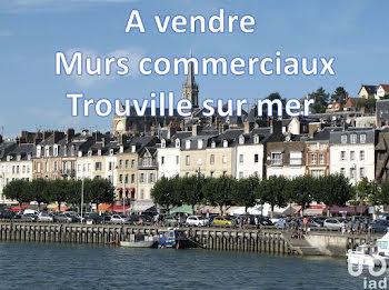 locaux professionnels à Trouville-sur-Mer (14)