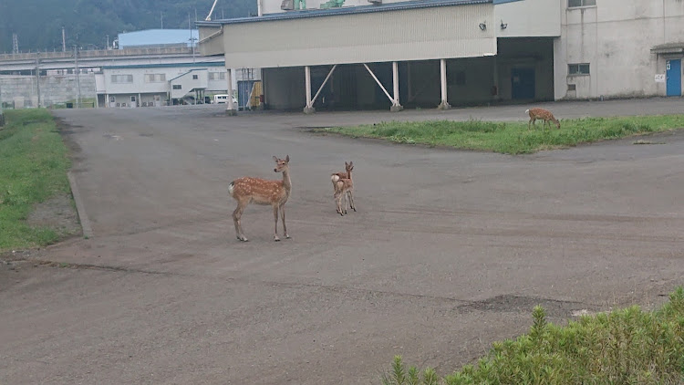 の投稿画像7枚目