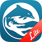 Scuba Exam Lite Apk