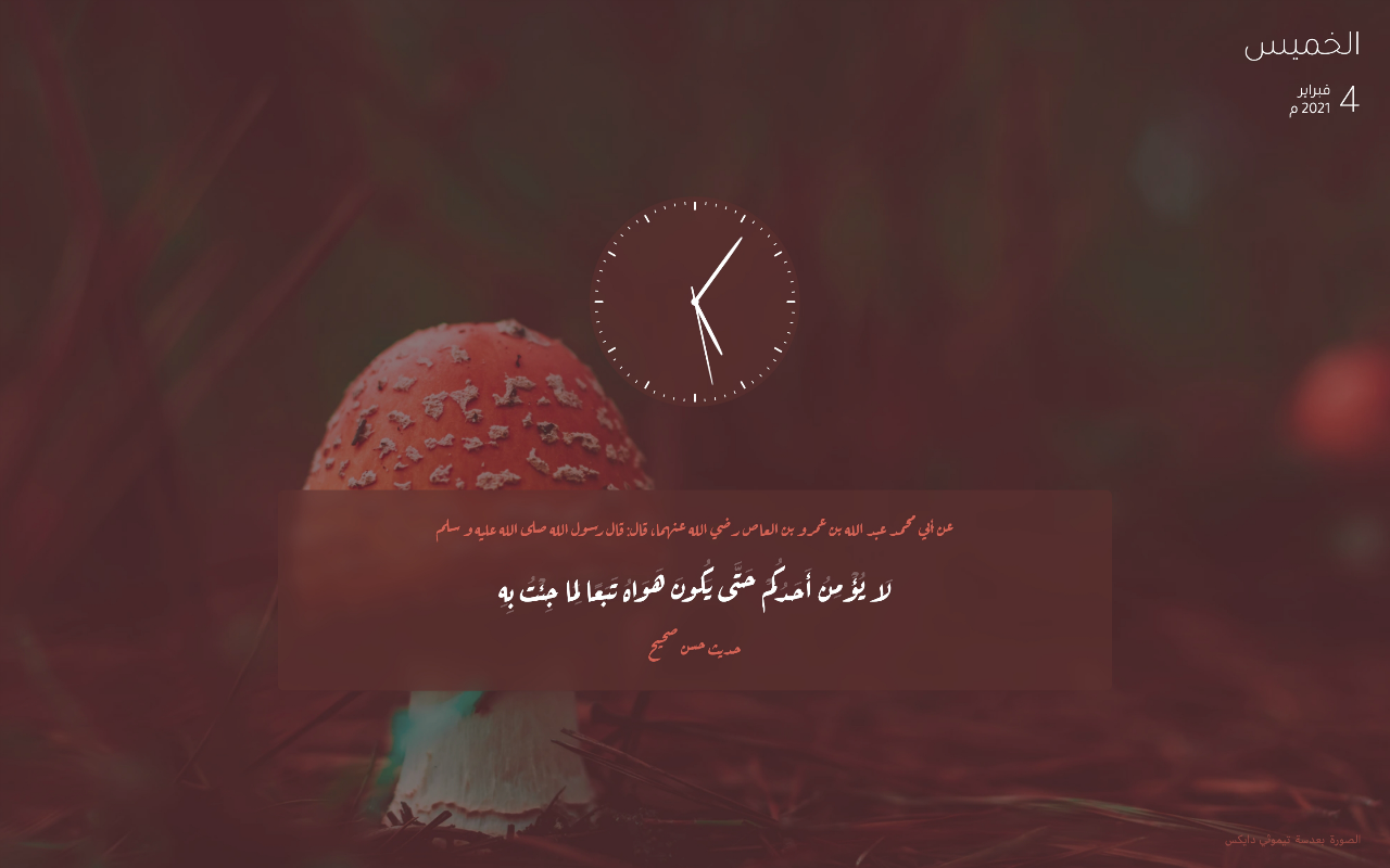 Ana Muslim | أنا مسلم Preview image 5