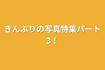 「きんぷりの写真特集パート3！」のメインビジュアル