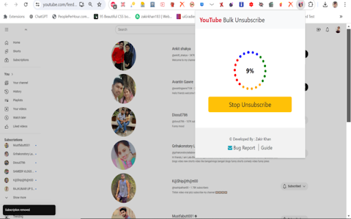 YouTube Bulk Unsubscribe Preview 3