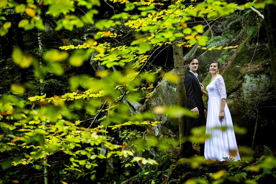 Fotógrafo de casamento Tomasz Cygnarowicz (tomaszcygnarowi). Foto de 29 de novembro 2019