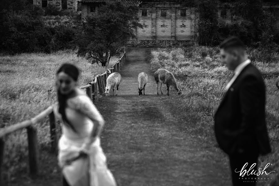 Photographe de mariage JUAN CARLOS MARTINEZ (blushfotografia). Photo du 4 juin 2020