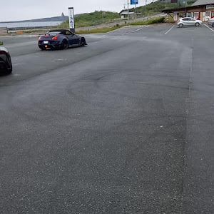 アルテッツァ SXE10