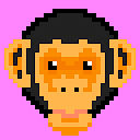 Chimp Magenta