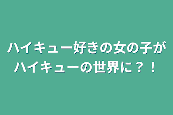 ハイキュー好きの女の子がハイキューの世界に？！