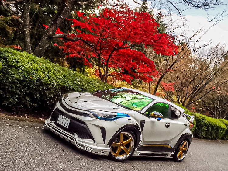 C-HRの目指せPickUpCars・会社の臨時休暇・紅葉と愛車・闘竜灘・清水寺に関するカスタム事例の投稿画像1枚目