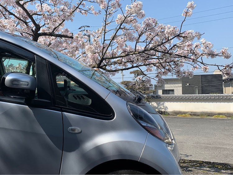 アイの桜とコラボ・サクラと愛車・桜・アシ車・最高の天気☀️に関するカスタム事例の投稿画像3枚目