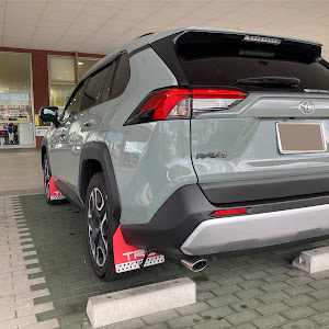 RAV4 MXAA54