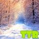 Download winter live wallpapers For PC Windows and Mac 1.00