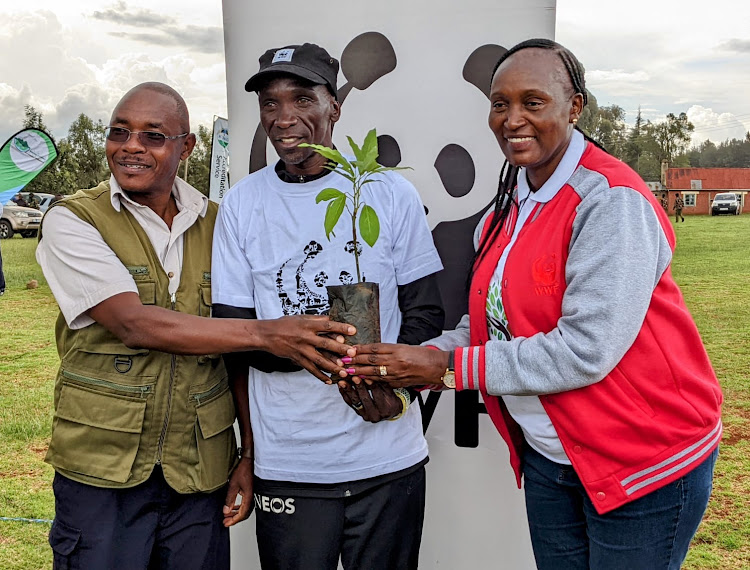 WWF-Kenya Head of Conservation Programmes Jackson Kiplagat, Eliud Kipchoge and WWF-Kenya head of resource mobilization Joyce Isiaho in Kaptagat on Friday. Image; WWF-Kenya.