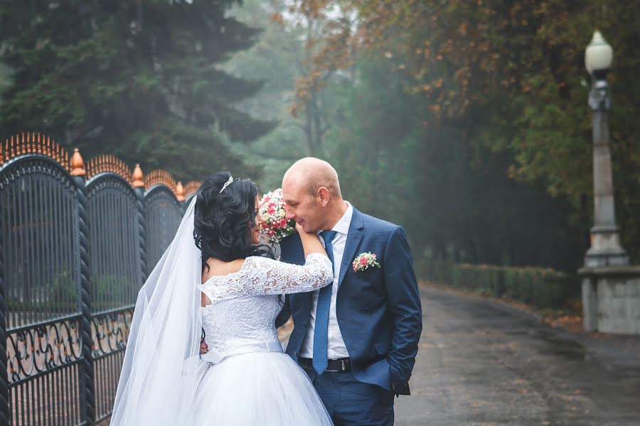 Wedding photographer Svetlana Alekseeva (shadows). Photo of 18 December 2016