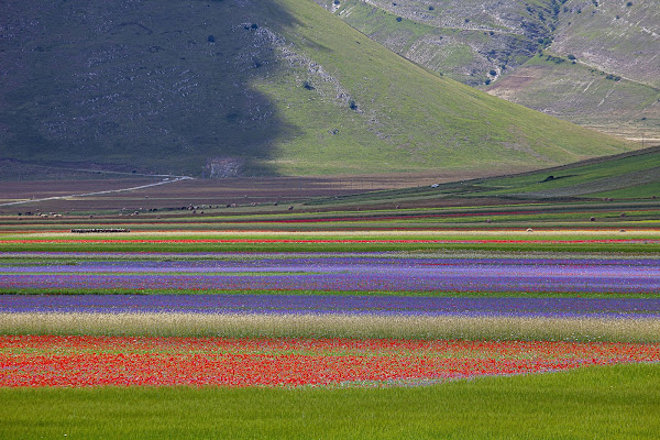 Colori di francofabbretti